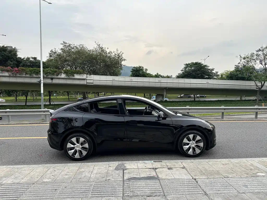 Tesla Model Y — фото 14