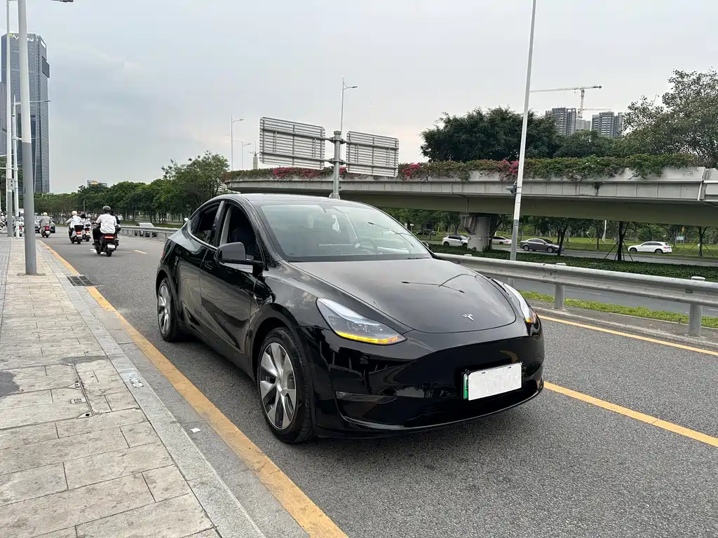Tesla Model Y — фото 3