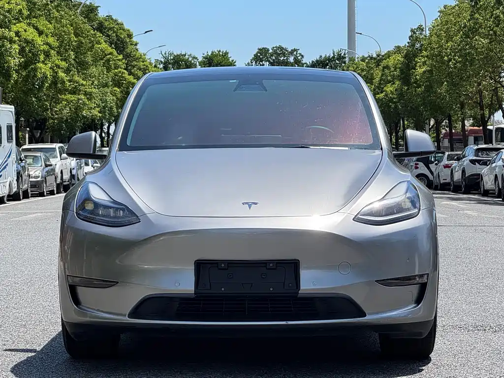 Tesla Model Y — фото 2