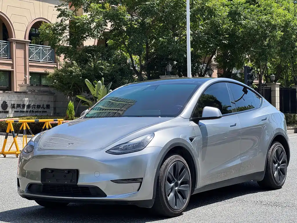 Tesla Model Y — фото 3