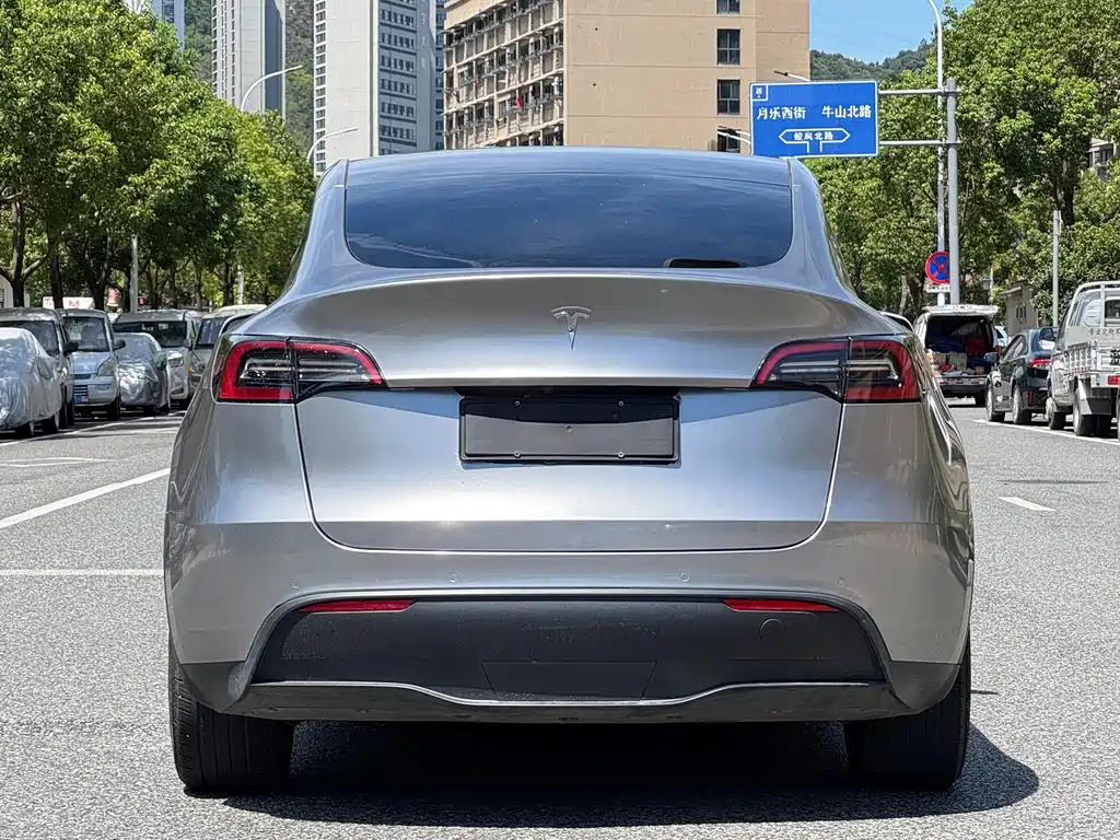 Tesla Model Y — фото 5