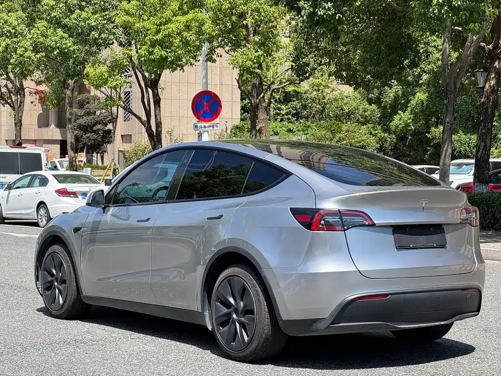 Tesla Model Y — фото 6
