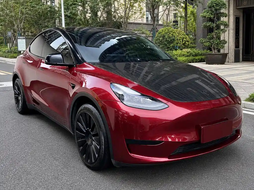 Tesla Model Y — фото 3