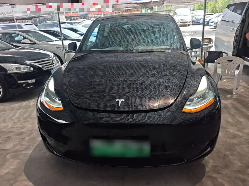 Tesla Model Y — фото 3
