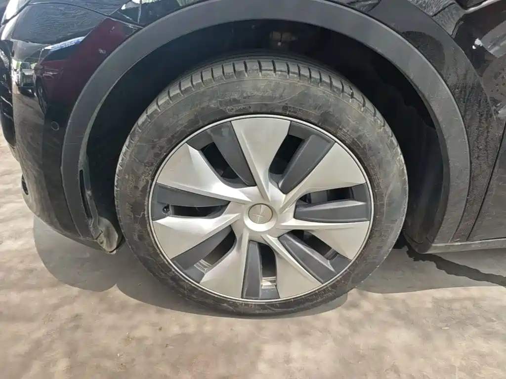 Tesla Model Y — фото 23
