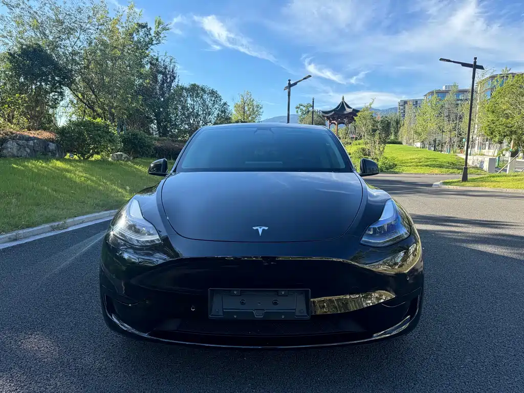 Tesla Model Y — фото 3