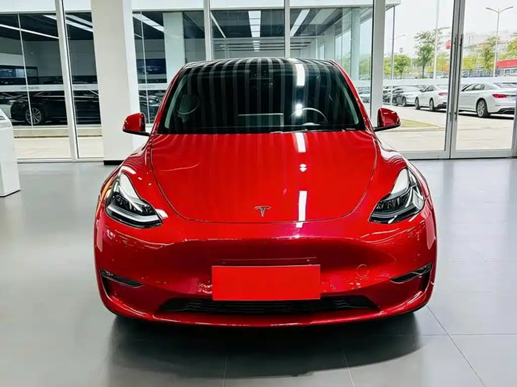 Tesla Model Y — фото 2