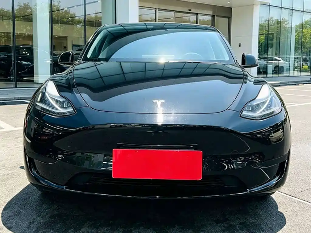 Tesla Model Y — фото 2