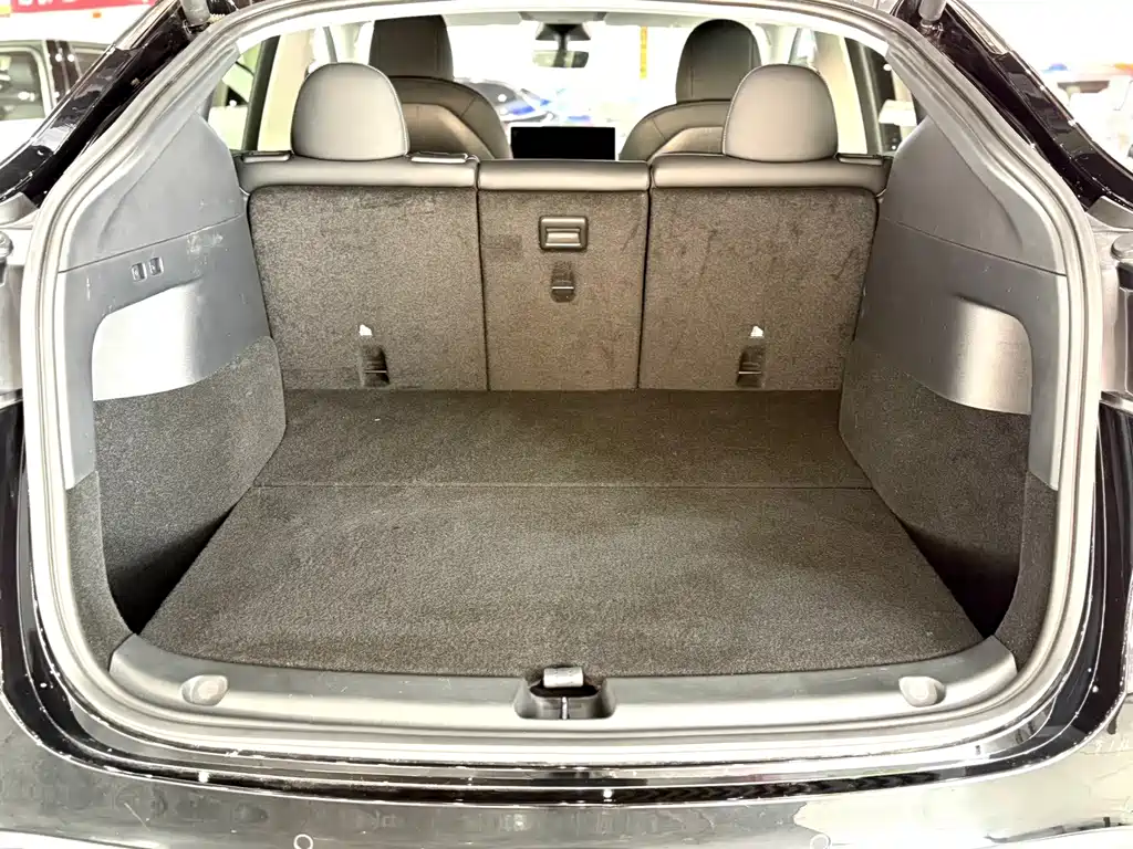 Tesla Model Y — фото 14