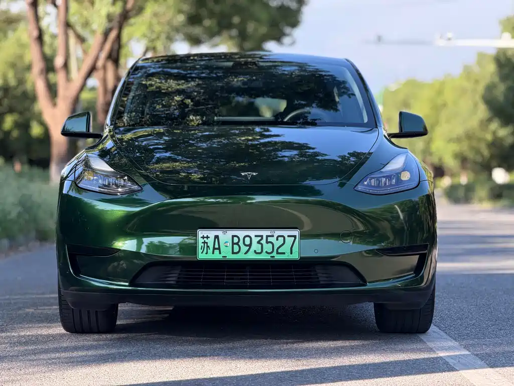 Tesla Model Y — фото 3