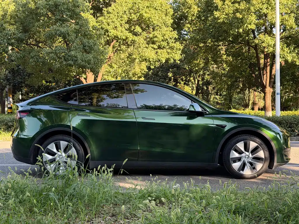 Tesla Model Y — фото 4