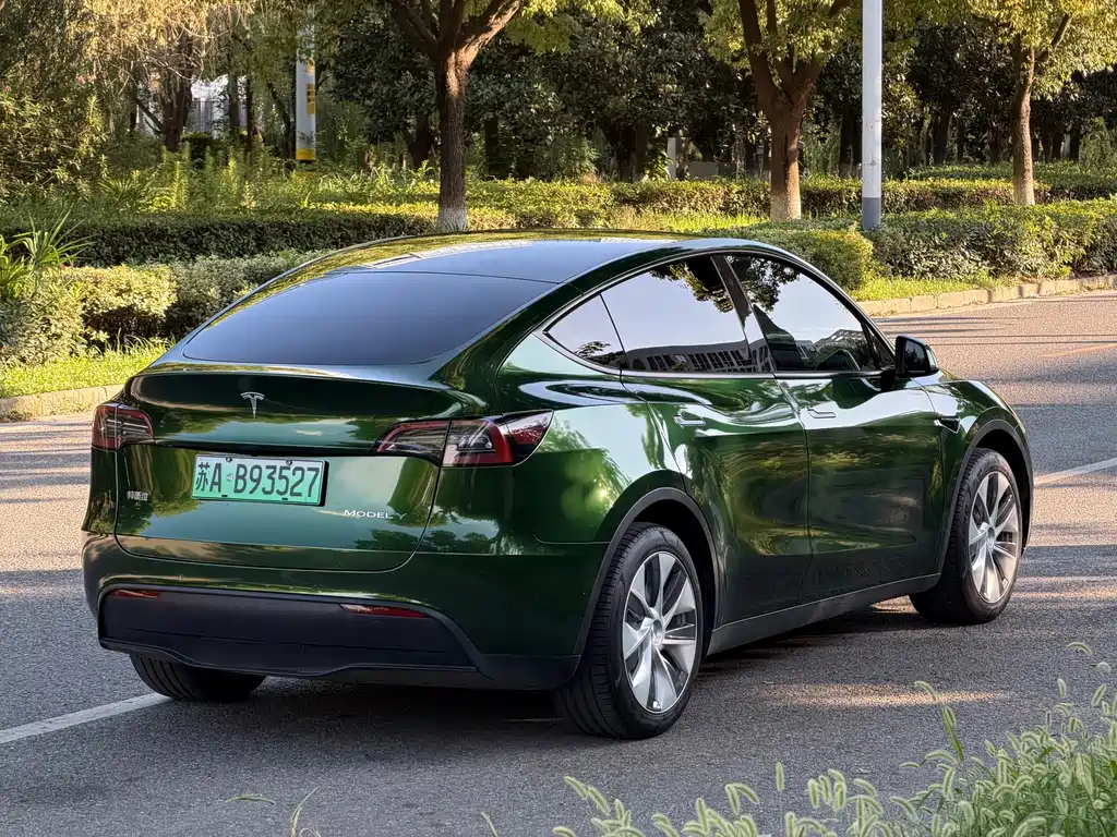 Tesla Model Y — фото 5