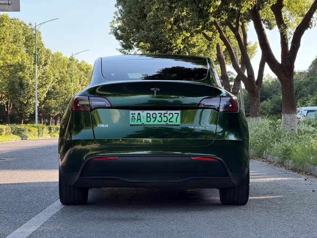 Tesla Model Y — фото 7