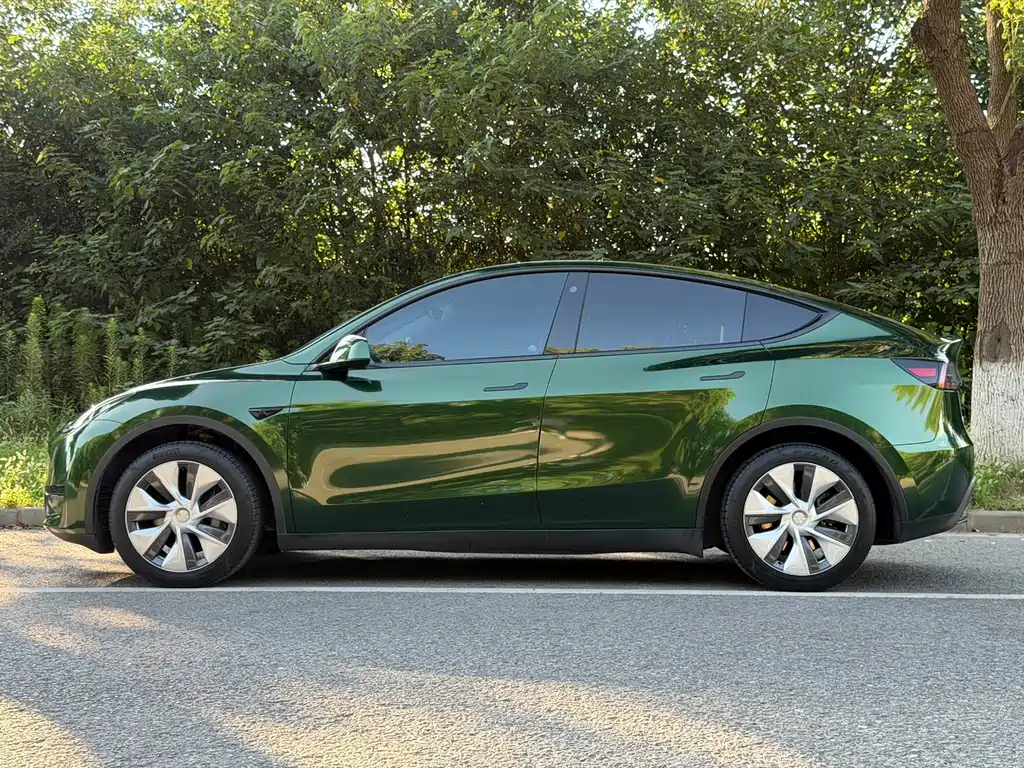 Tesla Model Y — фото 8