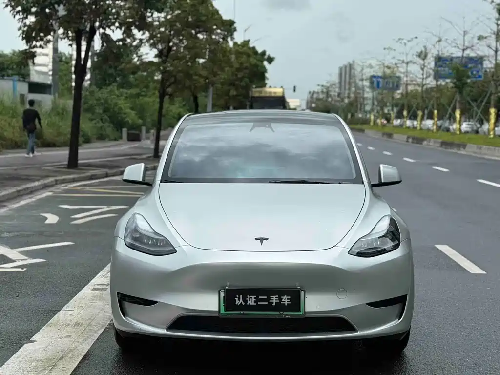 Tesla Model Y — фото 2