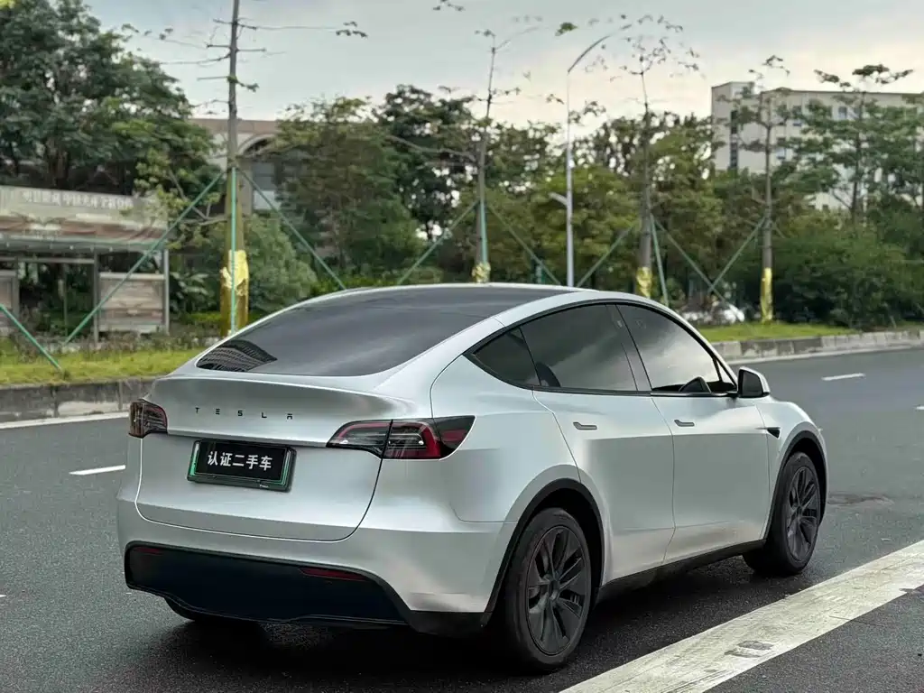 Tesla Model Y — фото 9