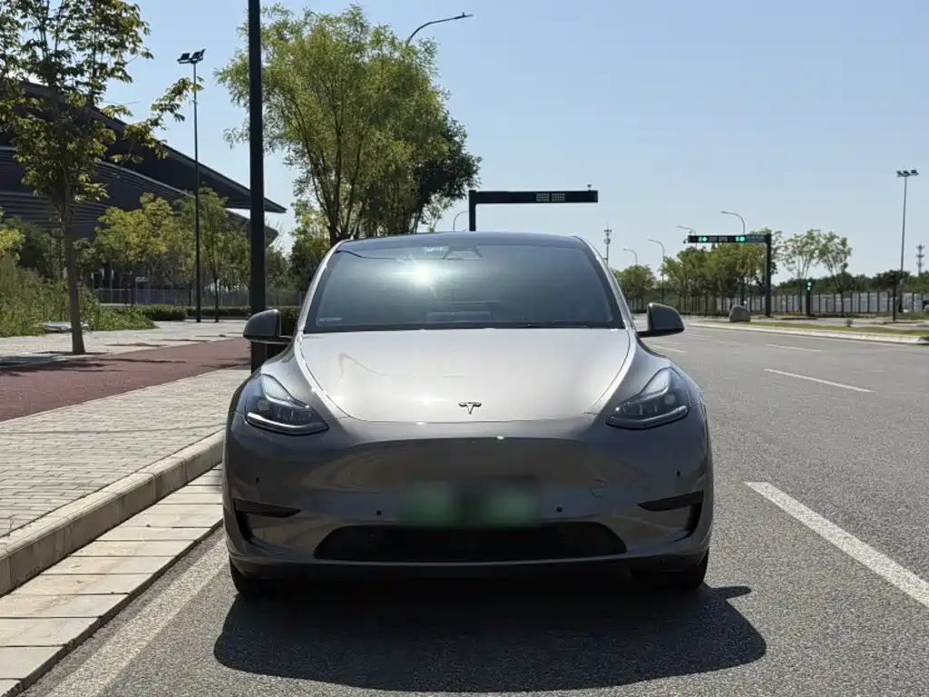 Tesla Model Y — фото 3