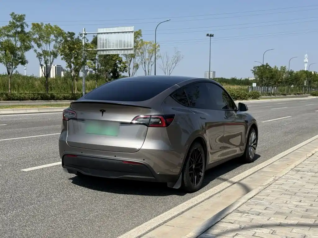 Tesla Model Y — фото 5