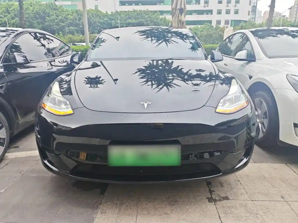 Tesla Model Y — фото 3