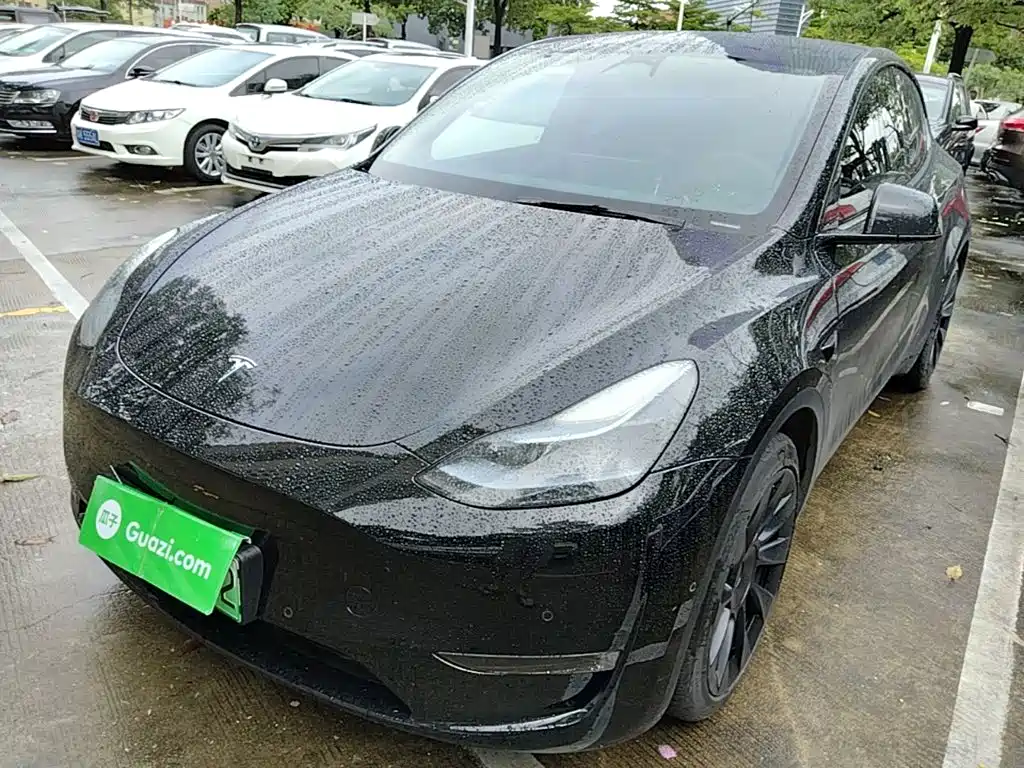 Tesla Model Y — фото 2