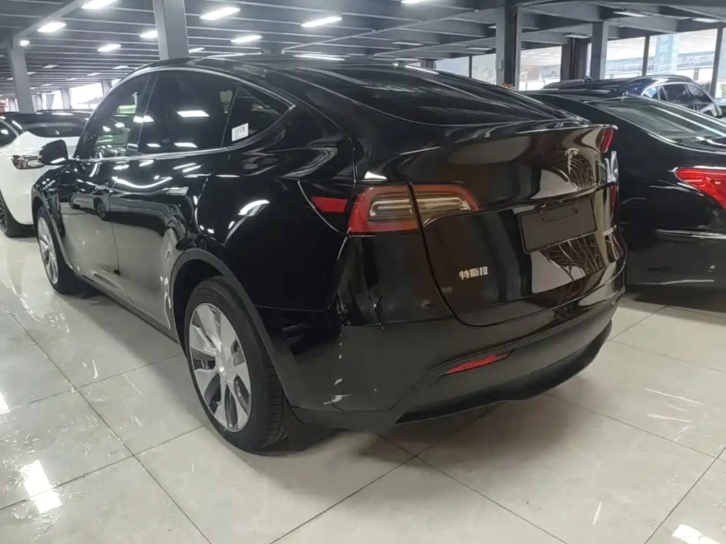 Tesla Model Y — фото 5