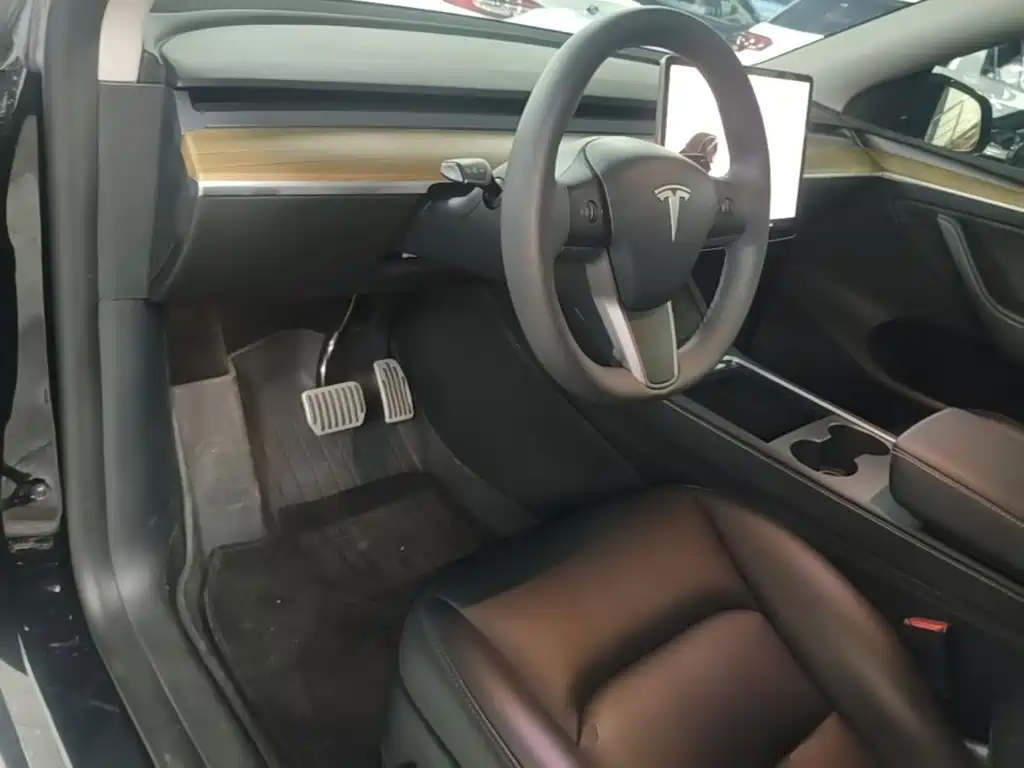 Tesla Model Y — фото 10