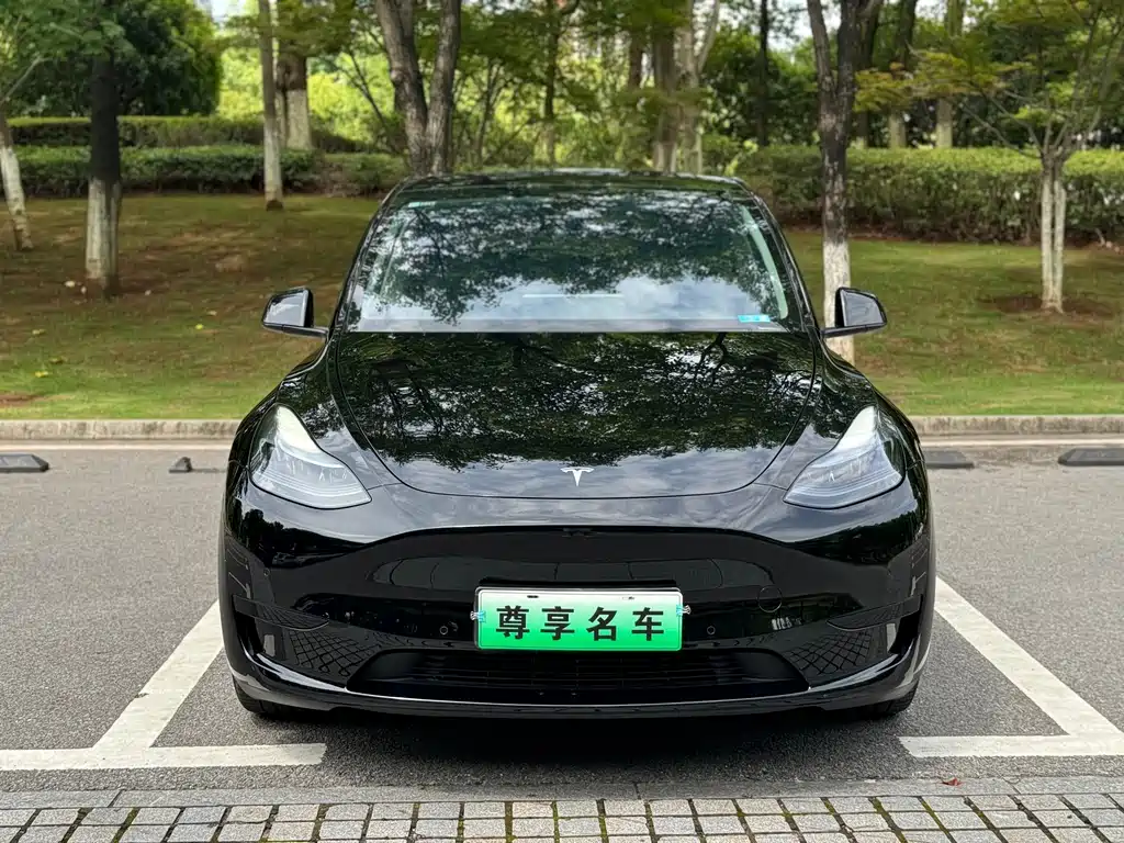 Tesla Model Y — фото 2