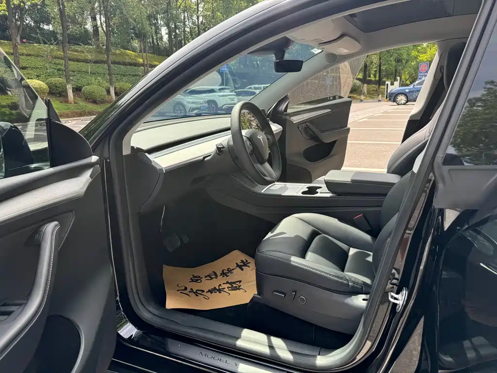 Tesla Model Y — фото 13