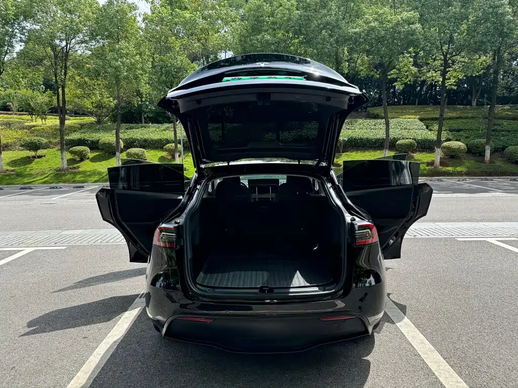 Tesla Model Y — фото 14