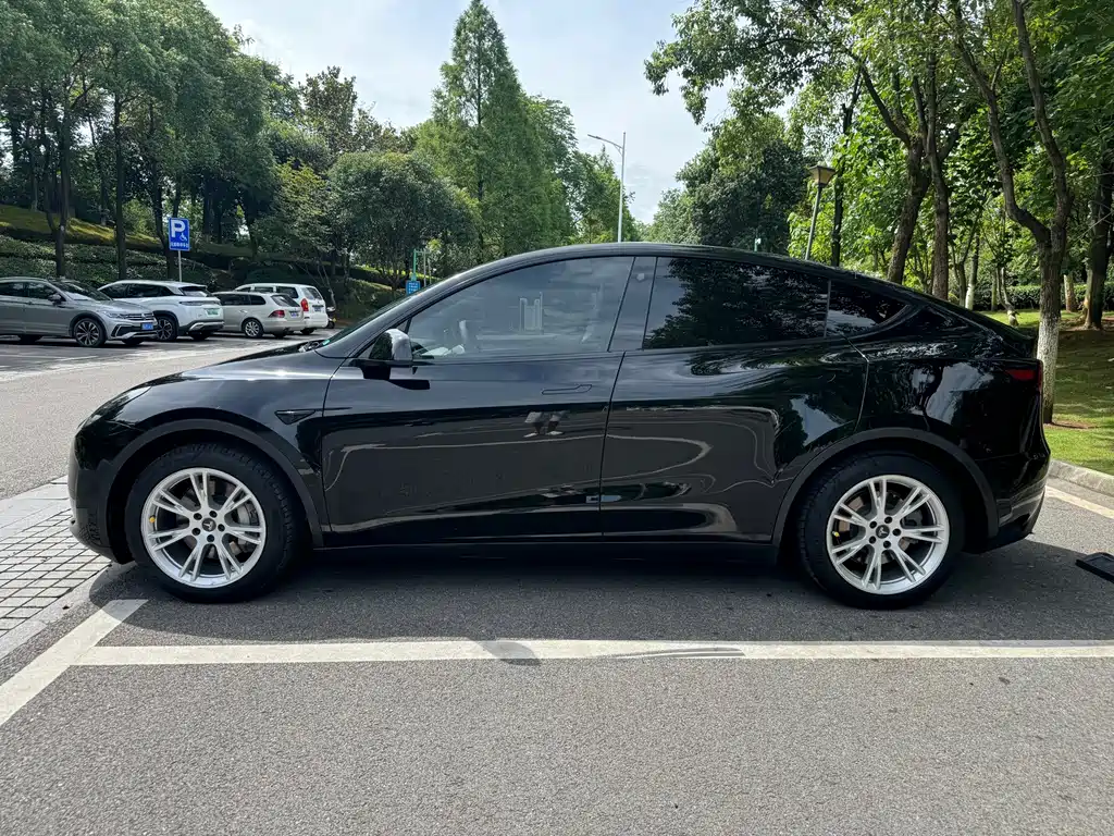 Tesla Model Y — фото 4