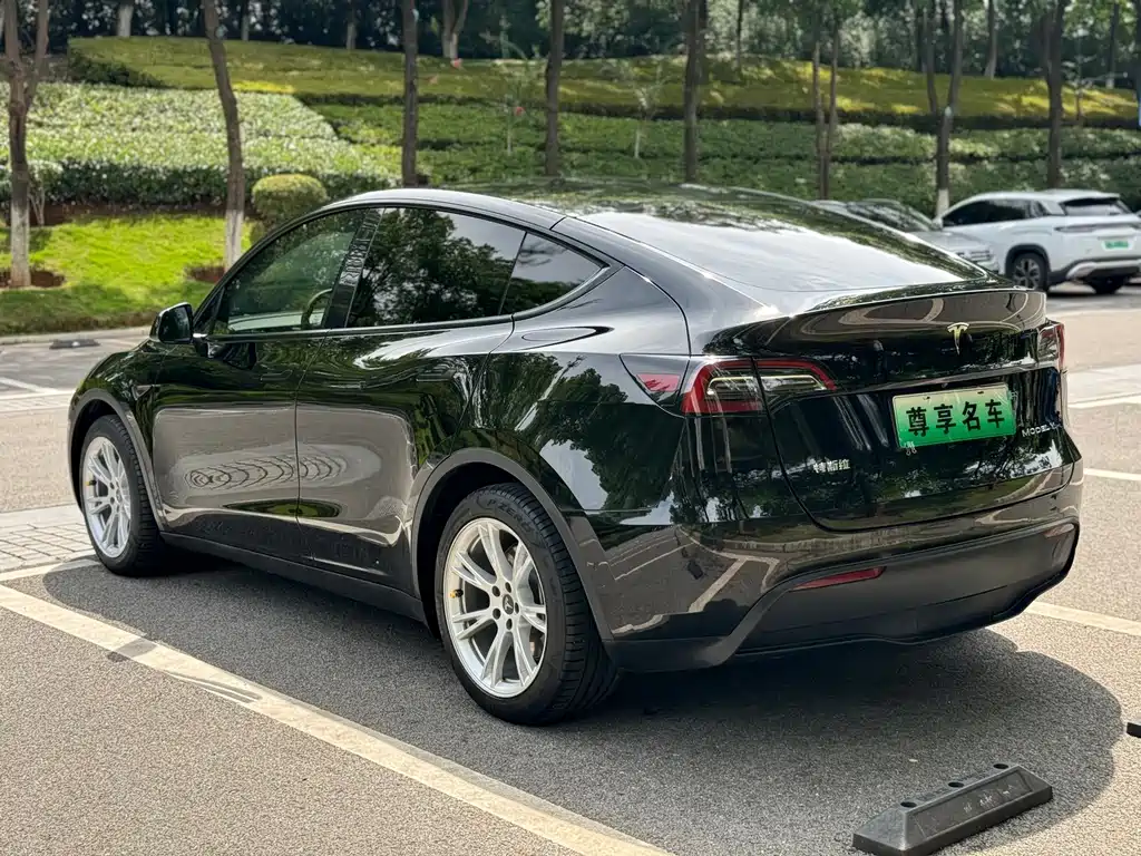 Tesla Model Y — фото 5