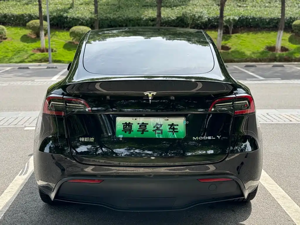 Tesla Model Y — фото 6