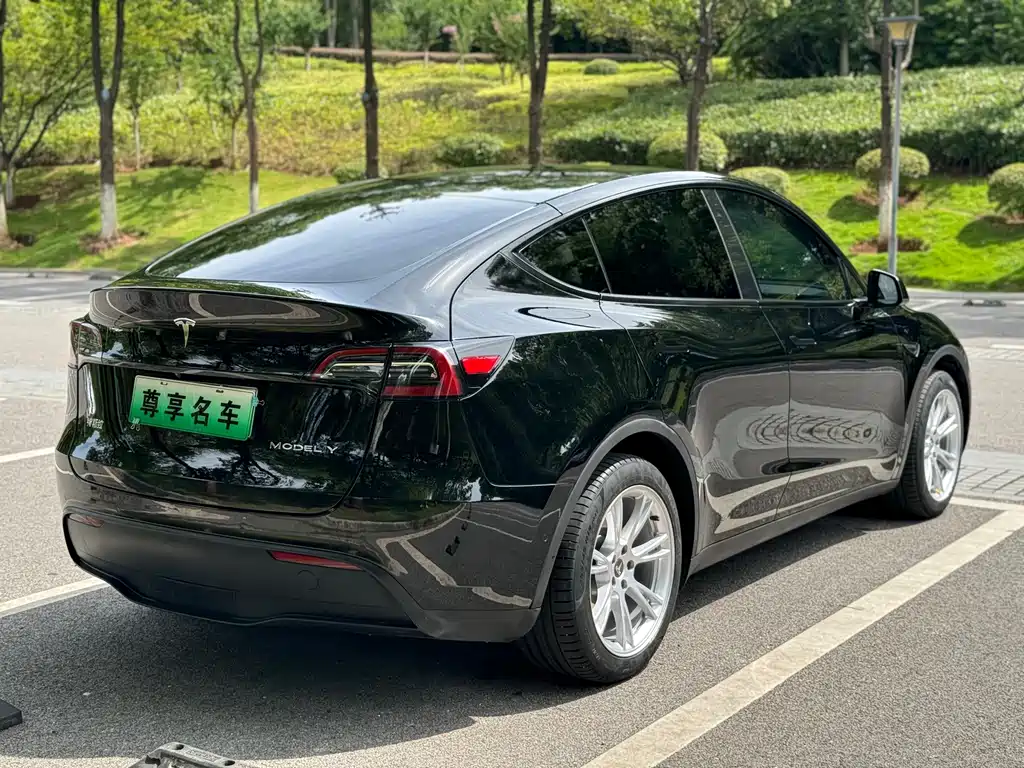Tesla Model Y — фото 7