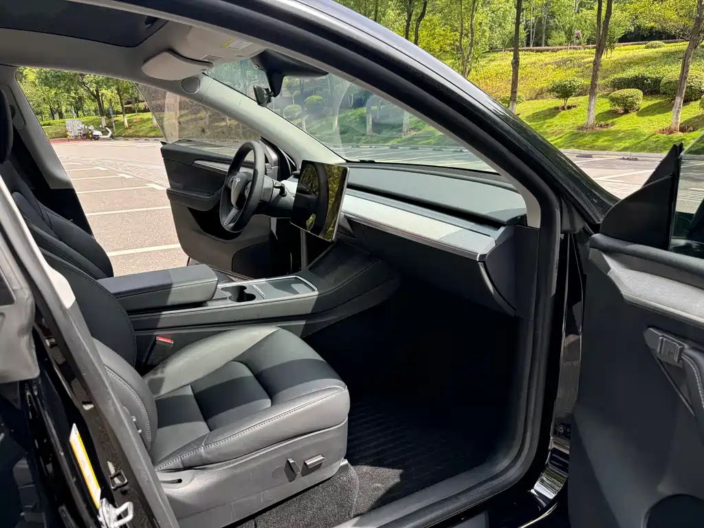 Tesla Model Y — фото 9