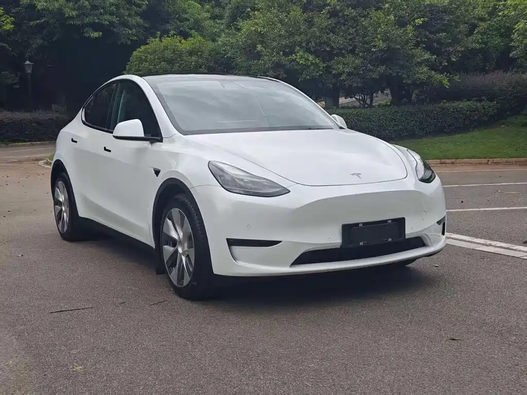Tesla Model Y — фото 3