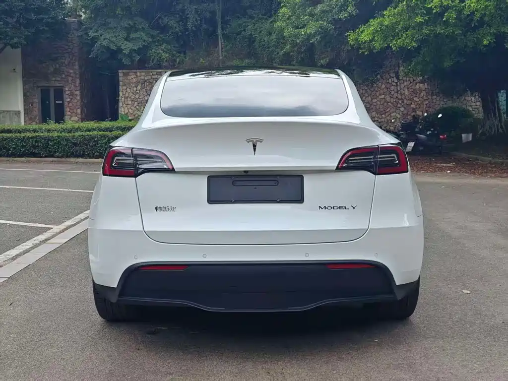 Tesla Model Y — фото 8