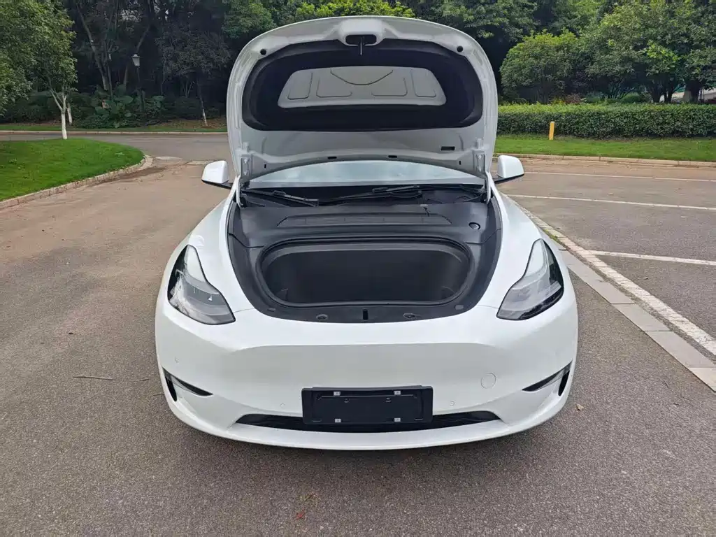 Tesla Model Y — фото 10