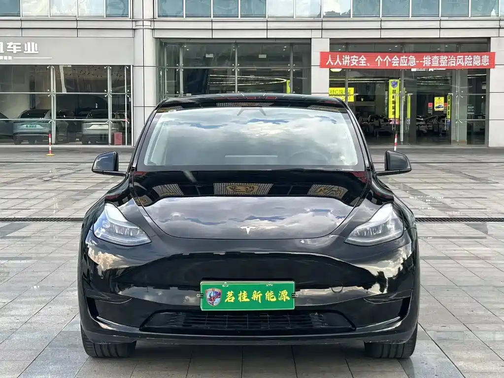 Tesla Model Y — фото 2