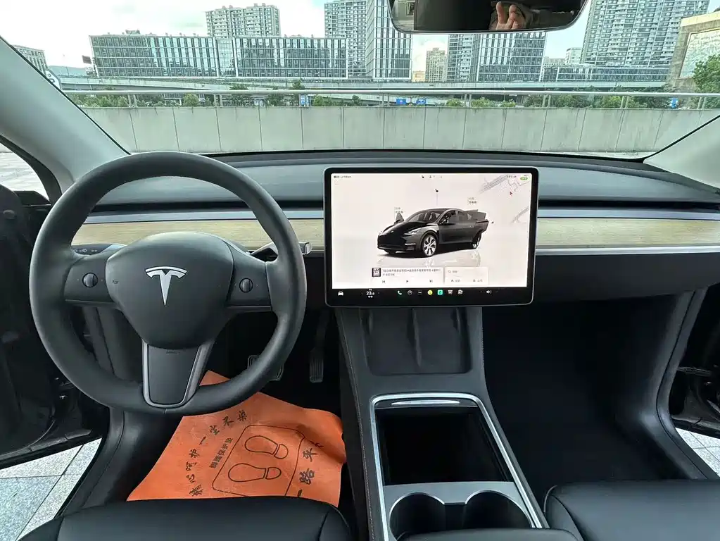 Tesla Model Y — фото 15