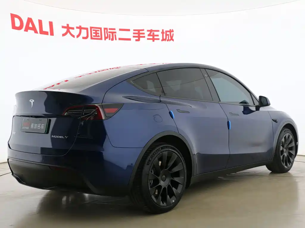 Tesla Model Y — фото 14