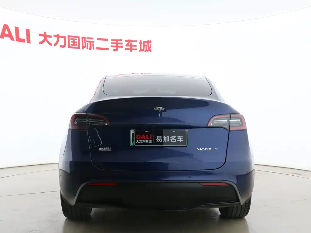 Tesla Model Y — фото 15