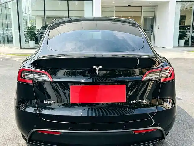 Tesla Model Y — фото 8