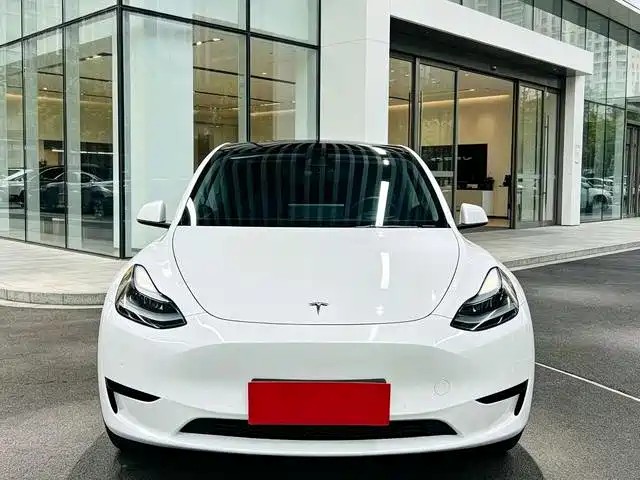 Tesla Model Y — фото 2