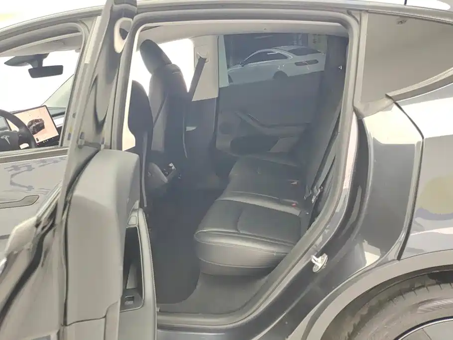 Tesla Model Y — фото 11