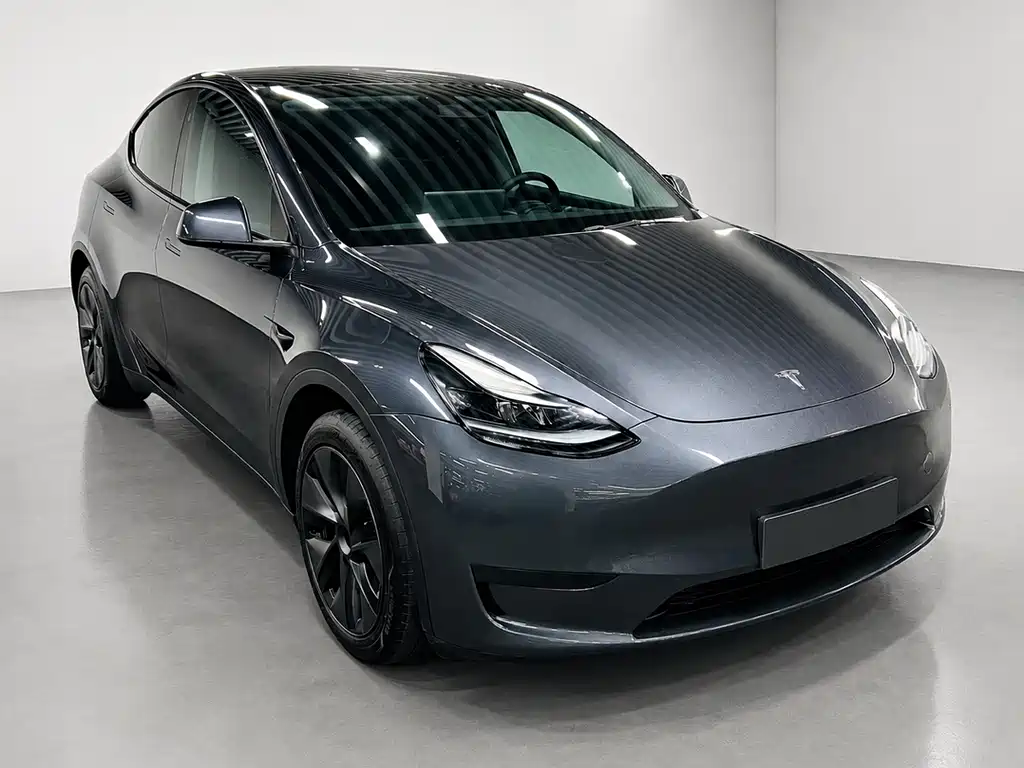 Tesla Model Y — фото 2