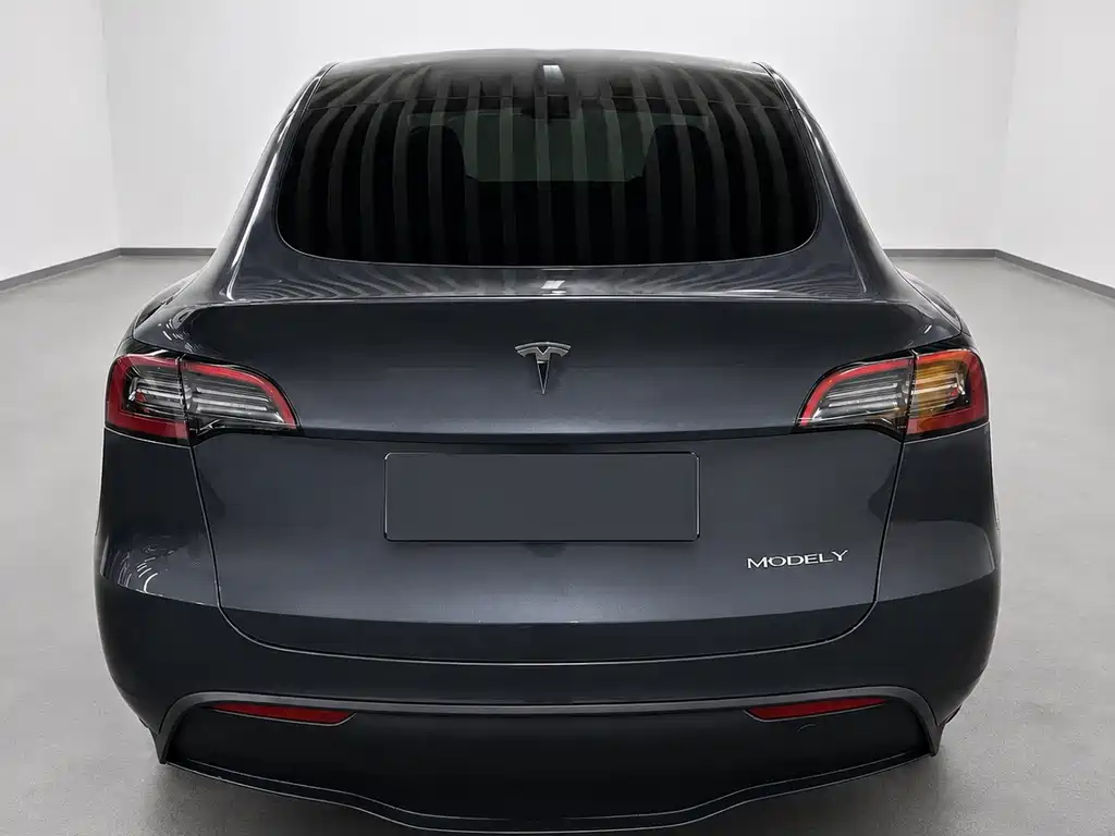 Tesla Model Y — фото 5