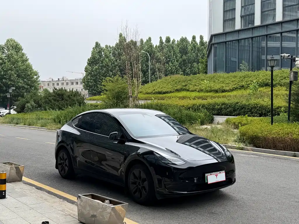 Tesla Model Y — фото 3