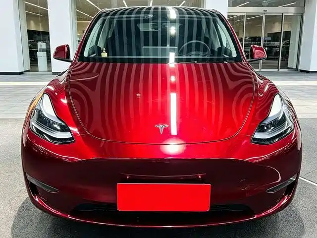 Tesla Model Y — фото 2
