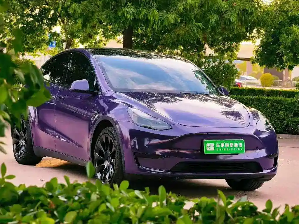 Tesla Model Y — фото 3