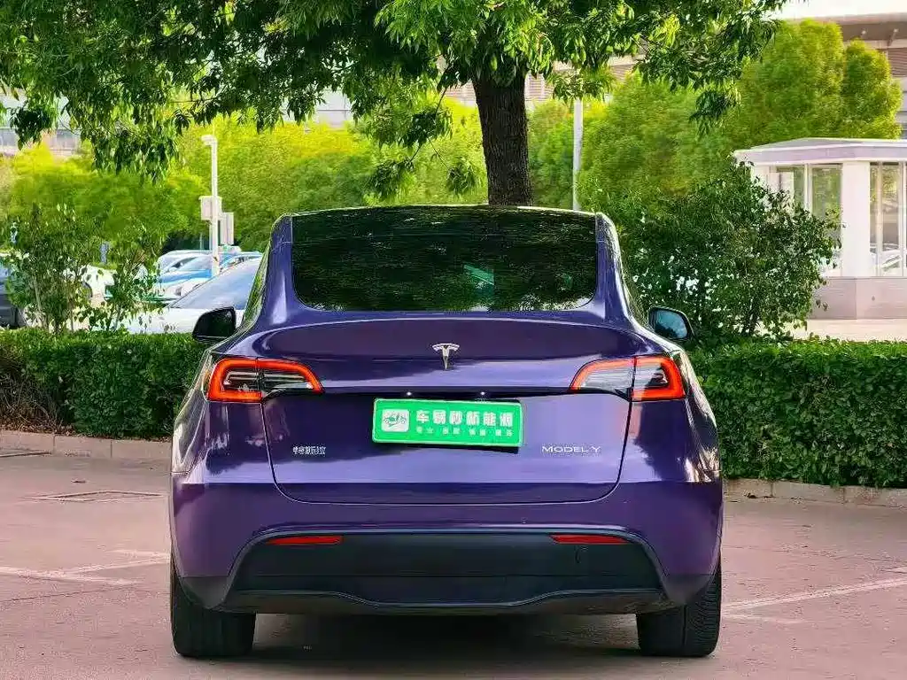 Tesla Model Y — фото 5